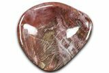 Colorful Polished Petrified Wood Bowl - Madagascar #346820-1